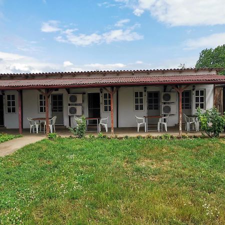 Отель Casa Ioana Костинешти Экстерьер фото